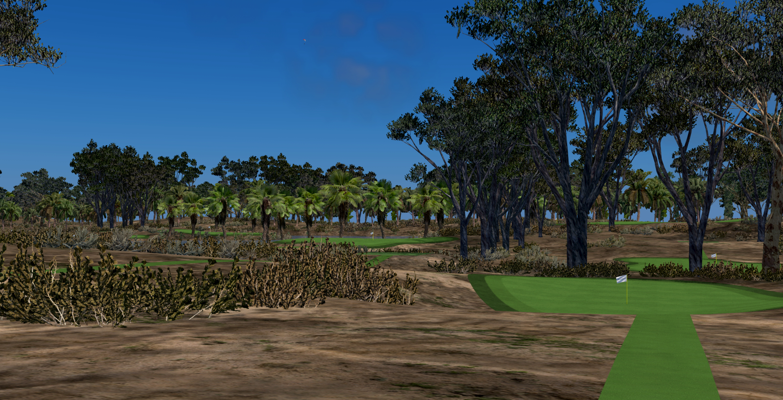 Pitch n Putt MDMSG